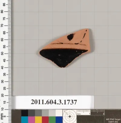 Terracotta fragment of a kylix: Lip cup (drinking cup)