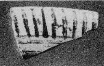 AMPHORA, BELLY, FRAGMENT (EAST GREEK)