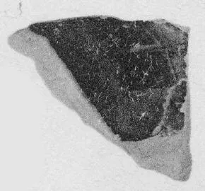 FRAGMENT (ATHENIAN, RED-FIGURE)