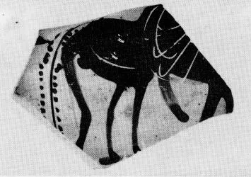 CUP, FRAGMENT (ATHENIAN, BLACK-FIGURE)