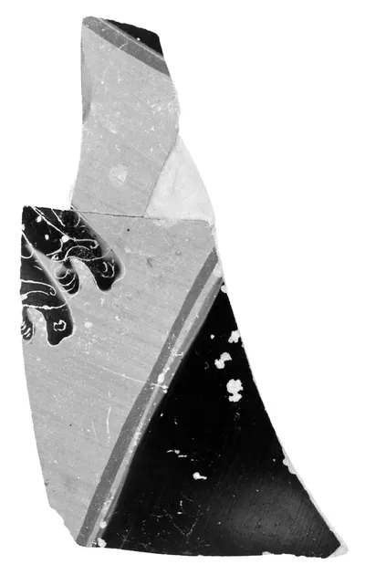 Two Attic Panathenaic Amphora fragments