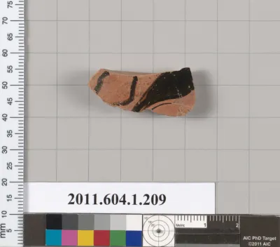 Terracotta fragment of a kylix (drinking cup)