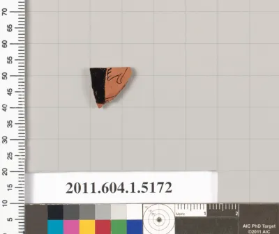 Terracotta fragment of a kylix (drinking cup)