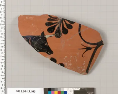 Terracotta fragment of a neck-amphora (jar)