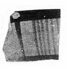 CUP, FRAGMENT (EAST GREEK)