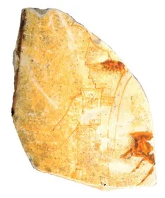 LEKYTHOS, FRAGMENT (ATHENIAN, RED-FIGURE)