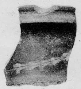 CUP, STEMLESS, FRAGMENT (SOUTH ITALIAN, CAMPANIAN, BLACK GLAZE)