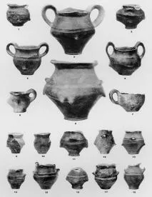 VARIOUS (PANCEVO)