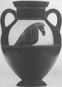 AMPHORA, BELLY, TYPE B (ATHENIAN, BLACK-FIGURE)