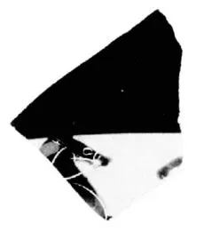 CUP, LITTLE MASTER BAND, FRAGMENT (ATHENIAN, BLACK-FIGURE)