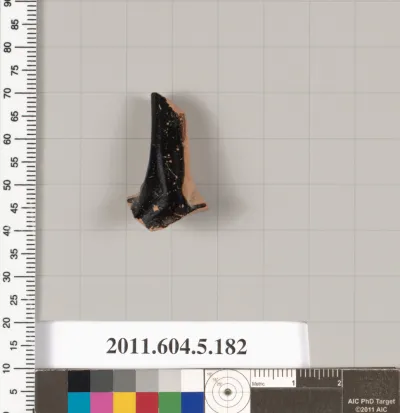 Terracotta fragment of a kylix (drinking cup)