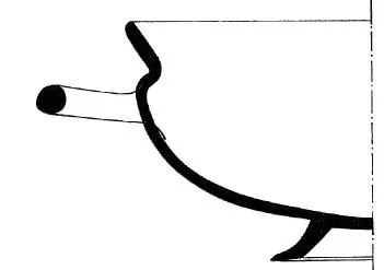 CUP (IONIAN)