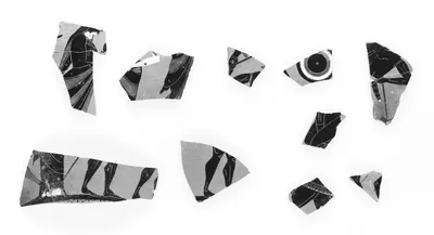 Attic Black-Figure Neck Amphora Fragments (11)