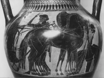 AMPHORA, BELLY, TYPE B (ATHENIAN, BLACK-FIGURE)