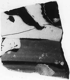 AMPHORA, NECK, FRAGMENT (ATHENIAN, BLACK-FIGURE)