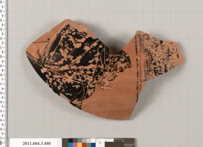 Terracotta fragment of a neck-amphora of Panathenaic shape