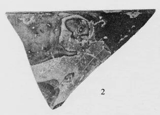 SKYPHOS, FRAGMENT (ATHENIAN, RED-FIGURE)