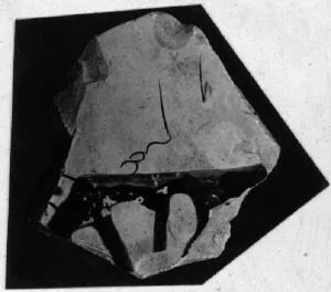 KRATER, BELL, FRAGMENT (ATHENIAN, RED-FIGURE)