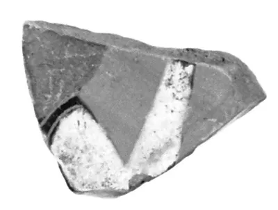 Attic Black-Figure Cup Fragment