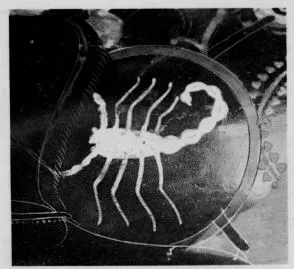 AMPHORA, NECK (ATHENIAN, BLACK-FIGURE)