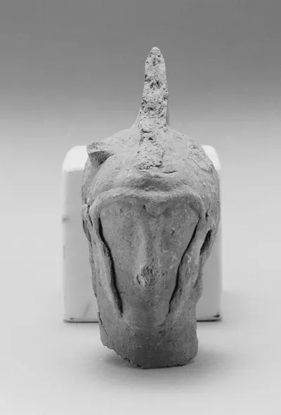 Male Warrior's Head