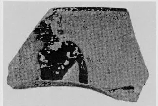 CUP, SIANA, FRAGMENT (ATHENIAN, BLACK-FIGURE)