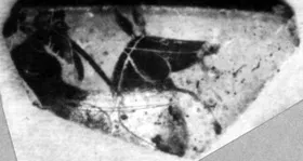 CUP, FRAGMENT (ATHENIAN, BLACK-FIGURE)