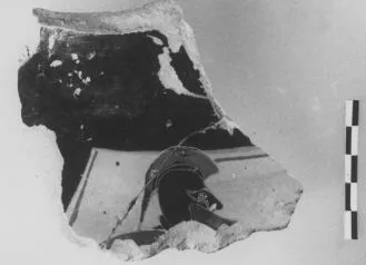 AMPHORA, BELLY, FRAGMENT (ATHENIAN, BLACK-FIGURE)