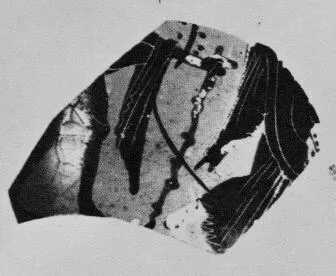 SKYPHOS (?), FRAGMENT (ATHENIAN, BLACK-FIGURE)
