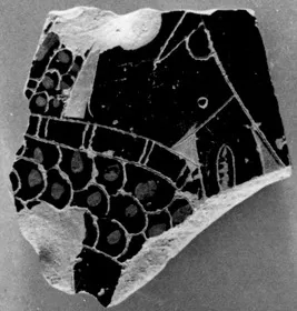 AMPHORA, BELLY, FRAGMENT (ATHENIAN, BLACK-FIGURE)