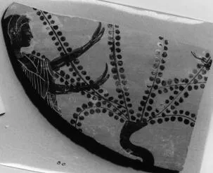 SKYPHOS, FRAGMENT (ATHENIAN, BLACK-FIGURE)
