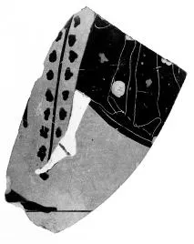 AMPHORA, NECK, FRAGMENT (ATHENIAN, BLACK-FIGURE)