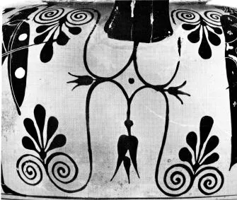 AMPHORA, NECK (ATHENIAN, BLACK-FIGURE)