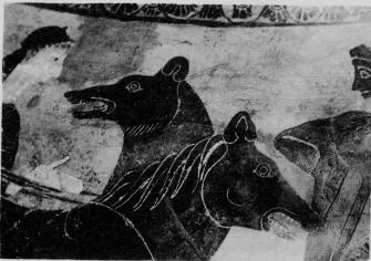 AMPHORA, BELLY, TYPE B (ATHENIAN, BLACK-FIGURE)