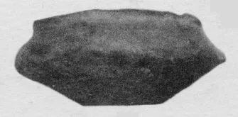 BOWL (VILLA NOVA)