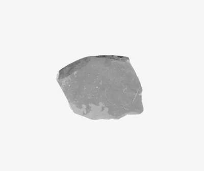Attic Black-Figure Cup Fragment