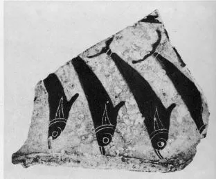 AMPHORA, BELLY, FRAGMENT (UNCERTAIN, BLACK-FIGURE)