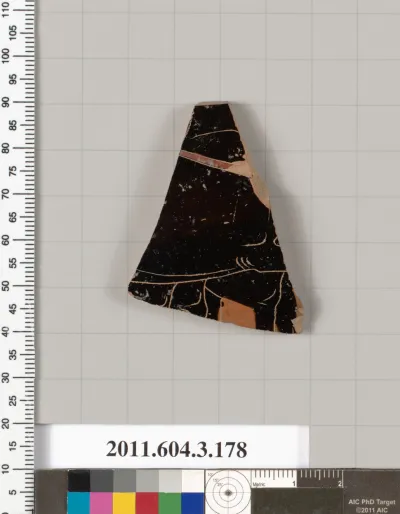 Terracotta fragment of an amphora (jar)