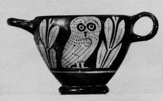 SKYPHOS (ATHENIAN, RED-FIGURE)
