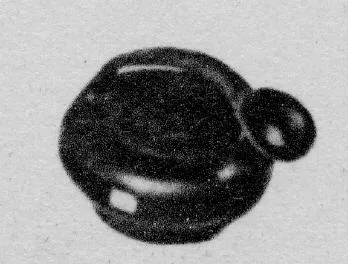 ASKOS (SOUTH ITALIAN, CAMPANIAN, BLACK GLAZE)