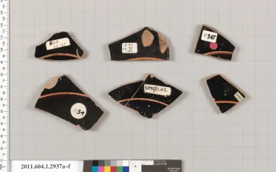 Terracotta fragments of kylikes (drinking cups)