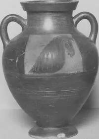 AMPHORA, BELLY, TYPE B (ATHENIAN, BLACK-FIGURE)