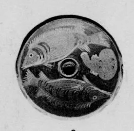FISH PLATE (SOUTH ITALIAN, CAMPANIAN, RED-FIGURE)