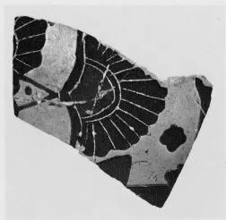 FRAGMENT (CHALCIDIAN, BLACK-FIGURE)