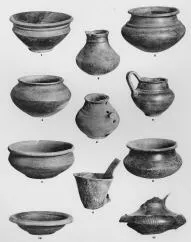 VARIOUS (DALJ)