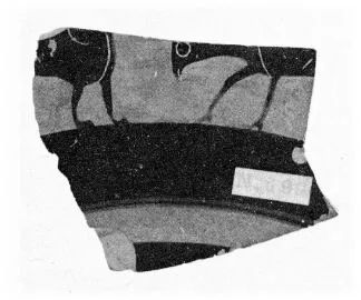 CUP, LITTLE MASTER BAND, FRAGMENT (ATHENIAN, BLACK-FIGURE)