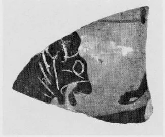 FRAGMENT (CHALCIDIAN, BLACK-FIGURE)