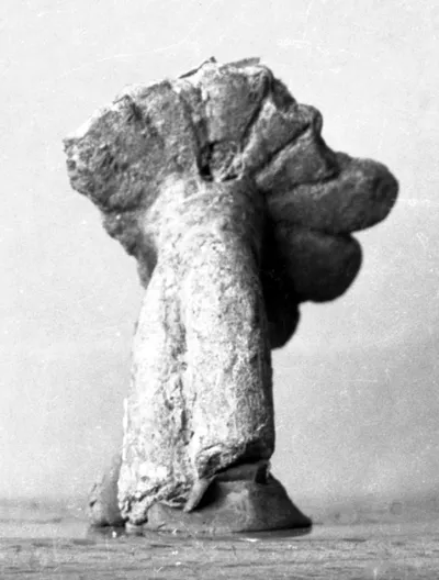 Fragment eines Gefäßhenkels mit Palmettenansatz