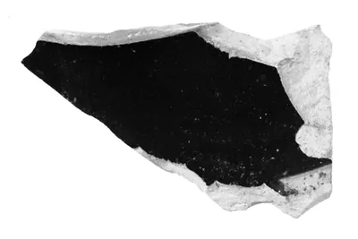 Attic Black-Figure Cup Fragment