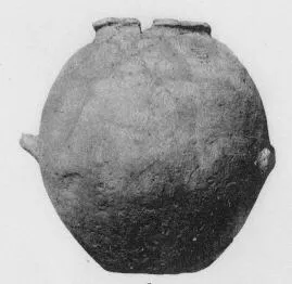 JAR (VILLA NOVA)